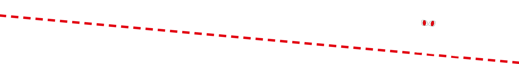 horizontal rule cat